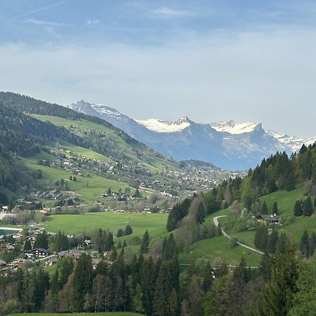 Chalet Saint Victor, Praz Sur Arly Extérieur photo
